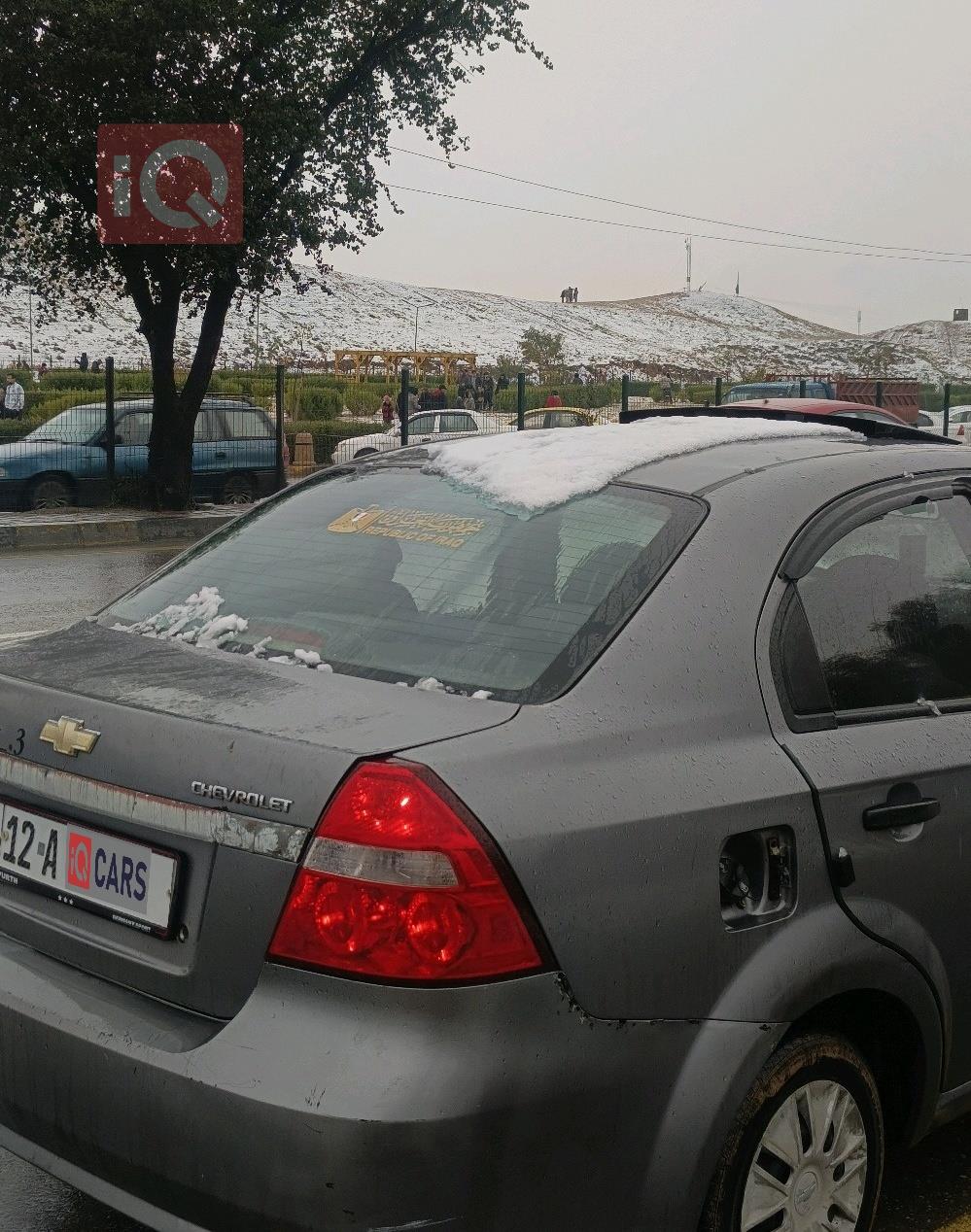 شيفروليه أفيو